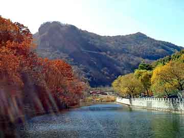 管家婆黑白马报图库，法国蔓莎